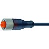 Câbles de raccordement droits  adapté pour chaînes de câbles RKT6-337 8-polig Kabel 2m